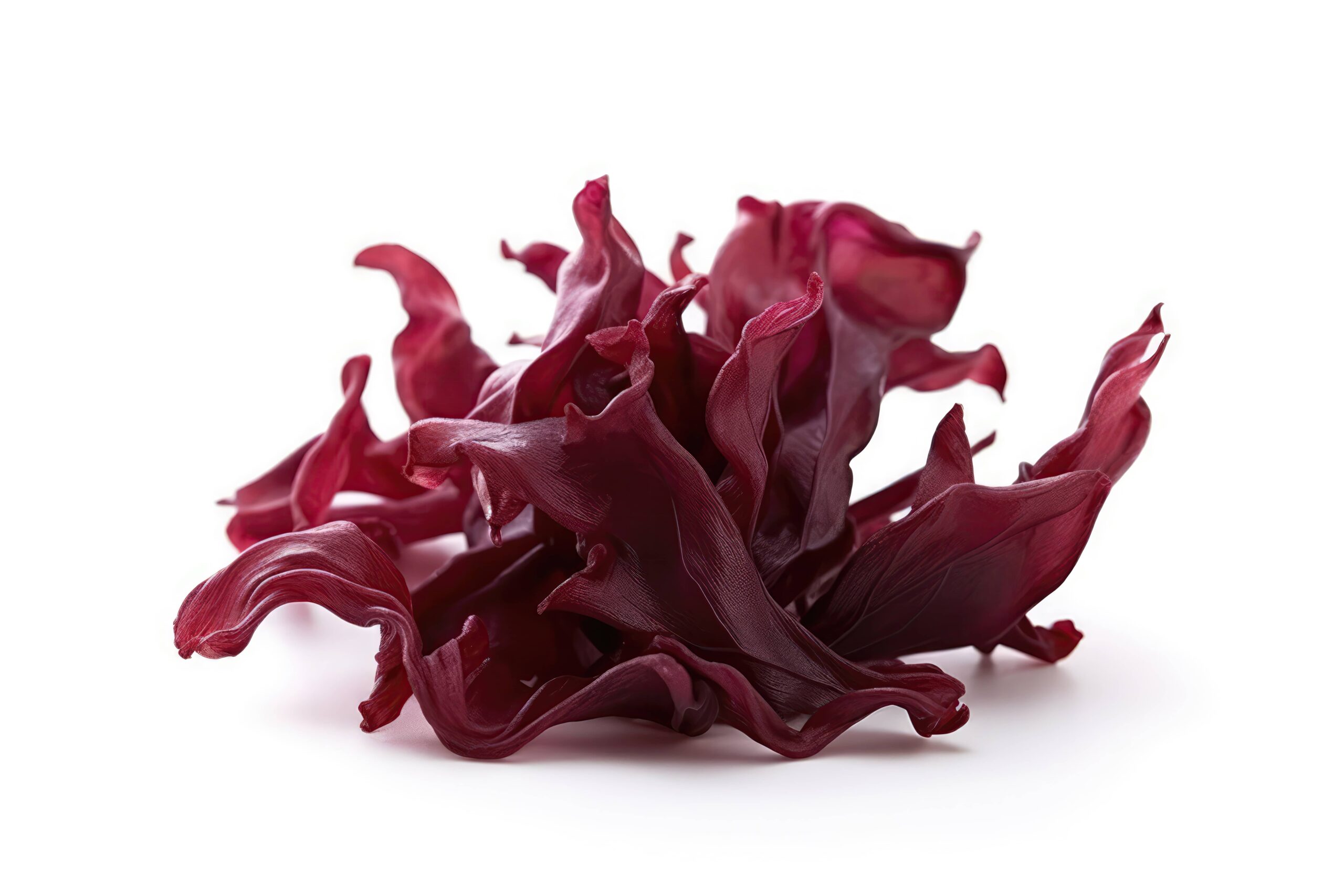 Benefits of Selected Red Seaweeds: How to Reinvent Your Products