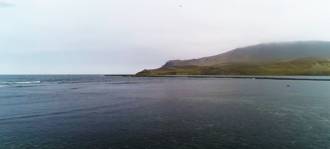 Acadian Seaplus Harvesting Introduction